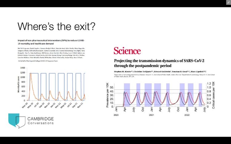 Cyclical pandemic behaviour