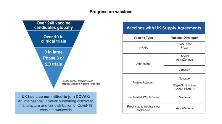 Progress on Vaccines