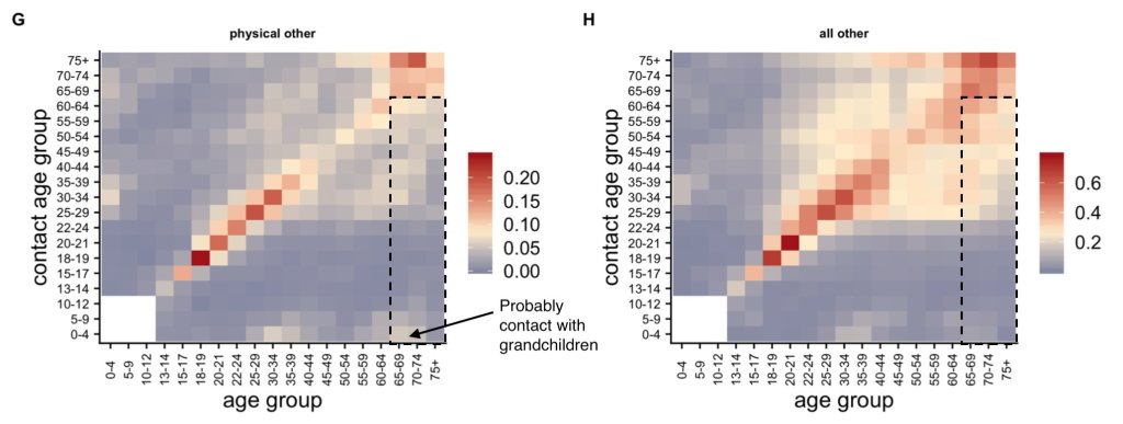 Contact mixing between age groups calibrated by contacting and contacted age groups