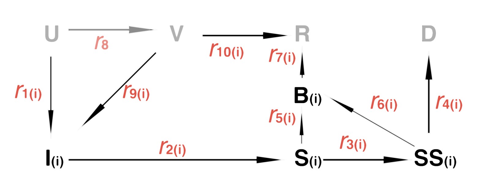 Repeated elements of the 12-compartment model flowchart with repeated Incubation, Sick, Seriously Sick, and Better compartments, all infective, with transfer rates