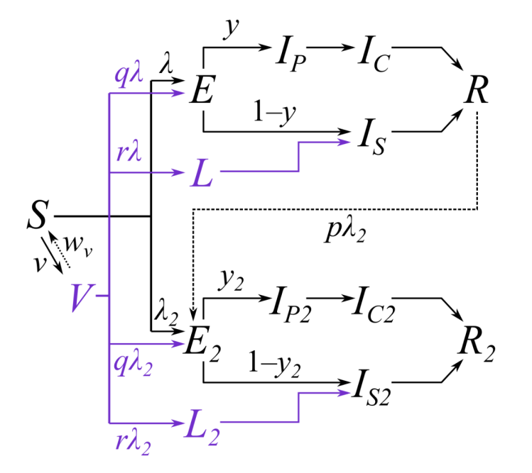 LSHTP Diagram of the two-strain model with vaccination