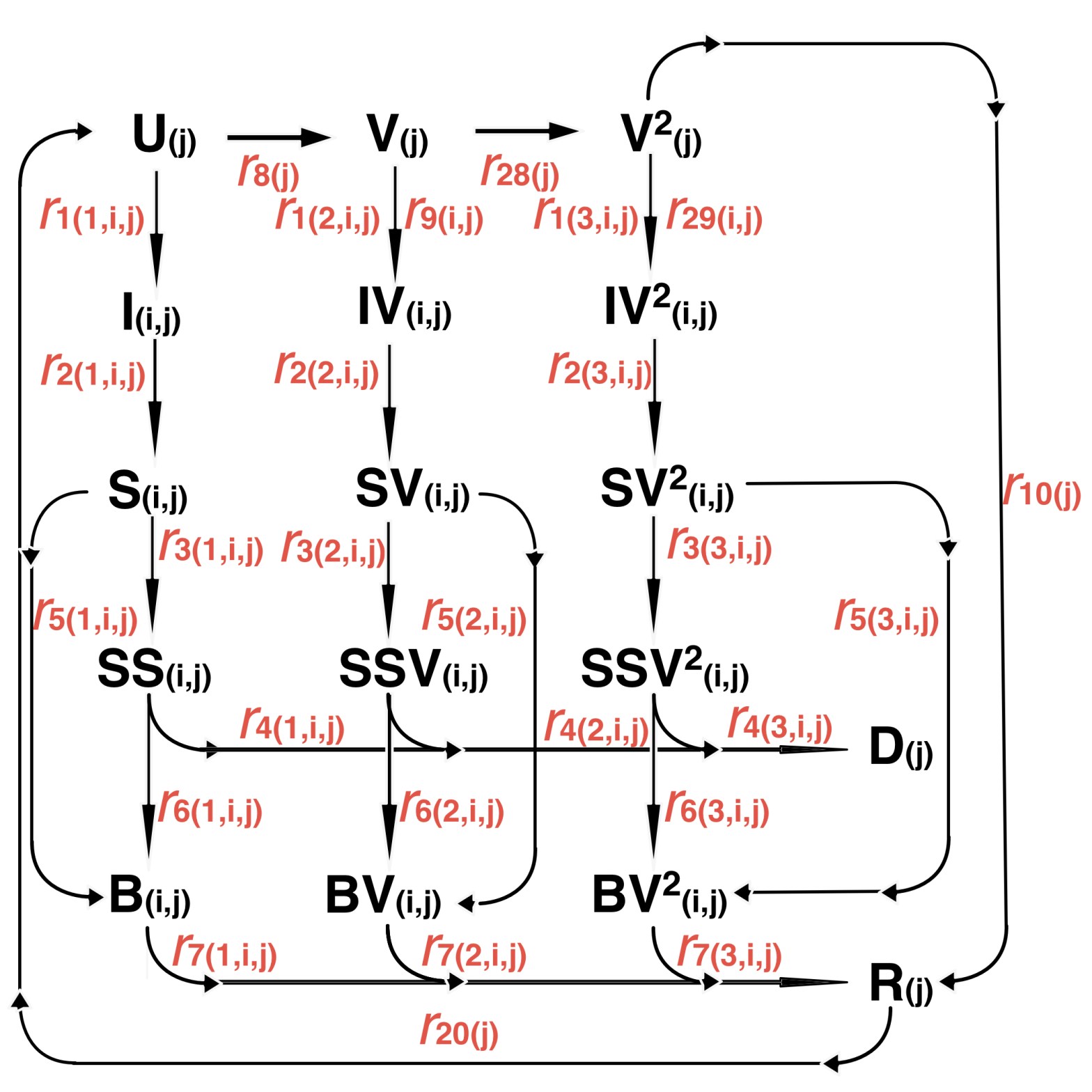 Repeated elements of the 164-compartment model flowchart with Uninfected, Vaccinated, double Vaccinated, Recovered and Deceased compartments for each group; and Incubation, Sick, Seriously Sick, and Better infective compartments per group, per variant and per vaccination status, with associated transition rates