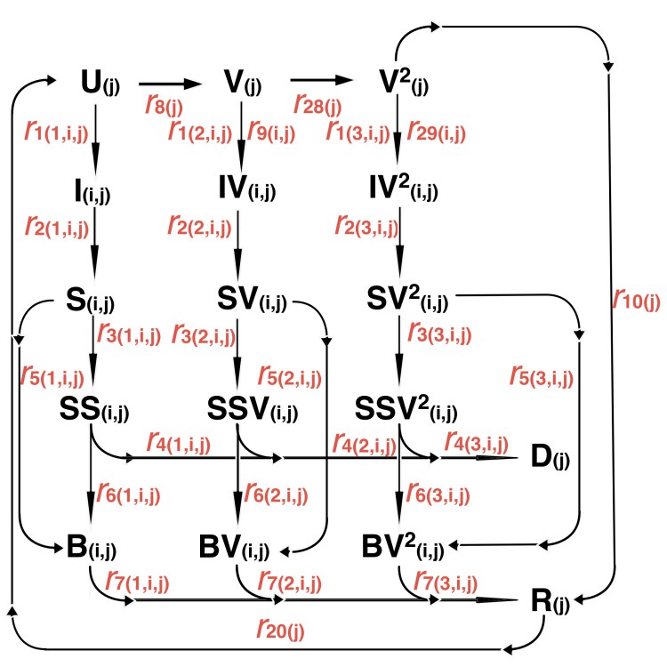 Repeated elements of the 164-compartment model flowchart with Uninfected, Vaccinated, double Vaccinated, Recovered and Deceased compartments for each group; and Incubation, Sick, Seriously Sick, and Better infective compartments per group, per variant and per vaccination status, with associated transition rates
