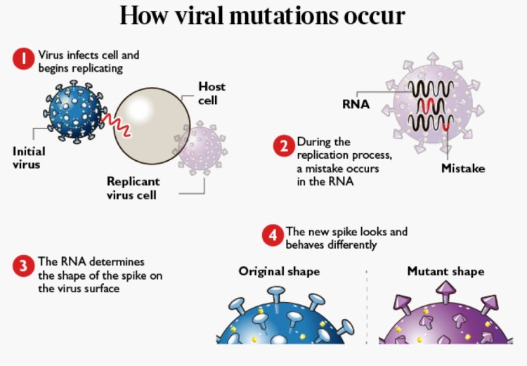 Viral mutations affecting how spikes infect host cells