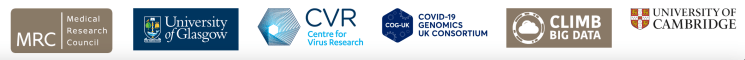 Participants in the COG Research Consortium, a UK-wide collaborative network for SARS-CoV-2 genomics, research and training.
