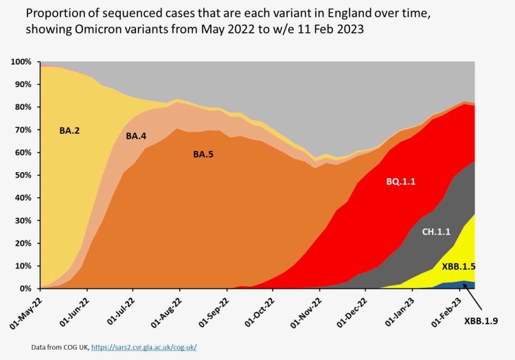 Quick English Omicron subvariant update from UCL's Prof Christina Pagel: 3-way split in England at the moment between BQ.1.1 (Dec wave), CH.1.1 & XBB.1.5 (current wave). Only XBB.1.5 growing now (now at ~30%). Bottom right is new kid on the block XBB.1.9...